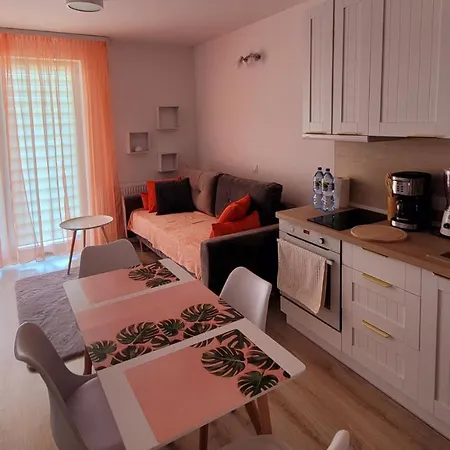 Comfort Del Mar Iii Apartment